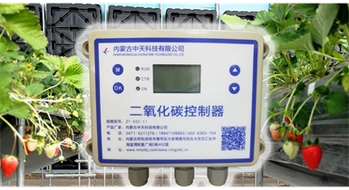中國北方CO?新技術(shù)，將促進(jìn)農(nóng)作物光合作用和光合產(chǎn)物的生成