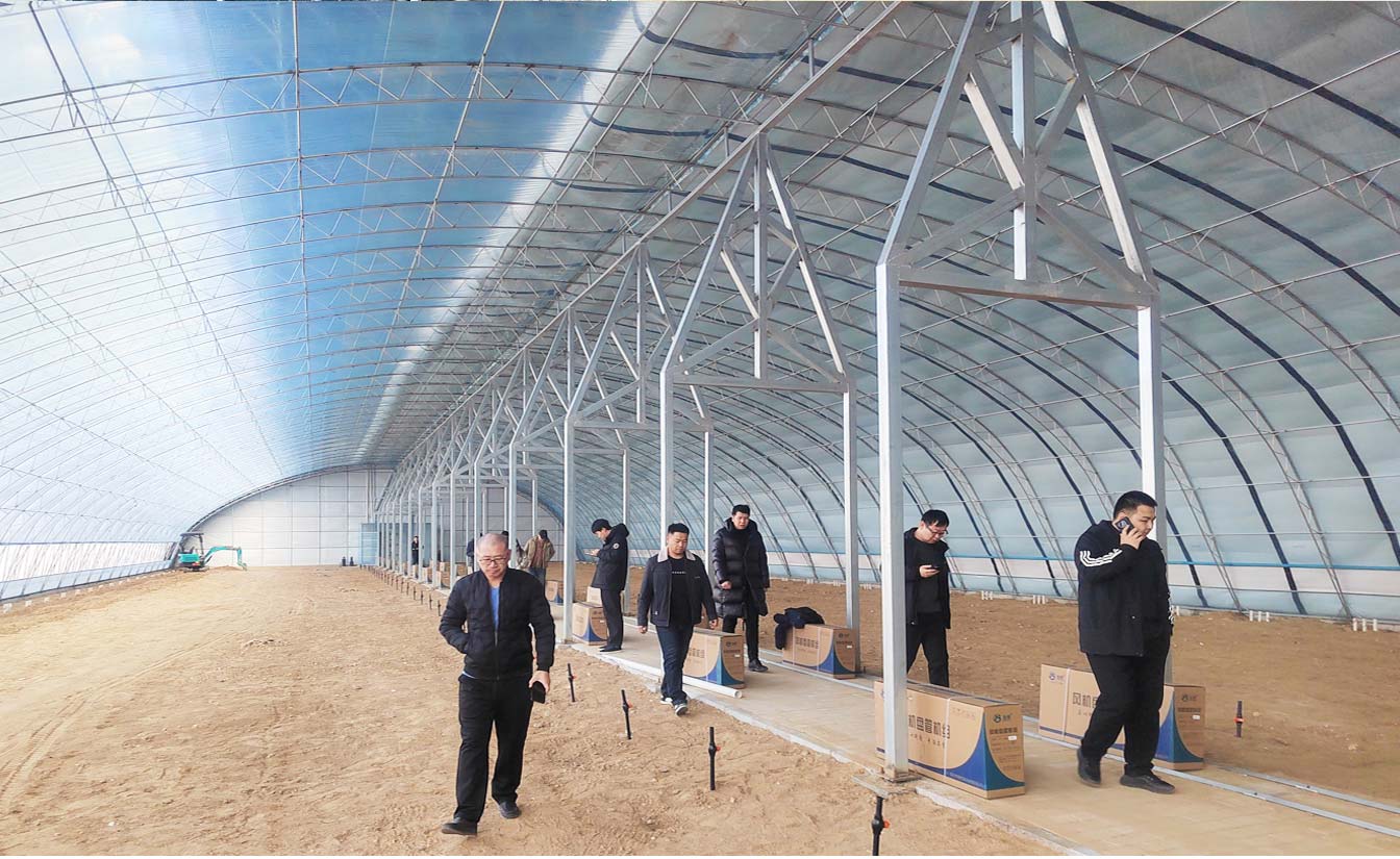 大路鎮(zhèn)苗家灘社區(qū)項目-智能溫室、日光溫室建設項目_09.jpg